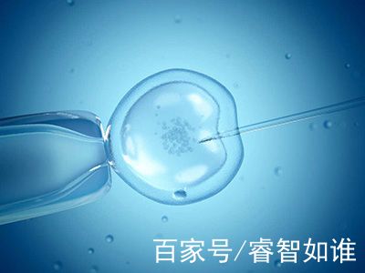 试管捐卵机构生殖中心